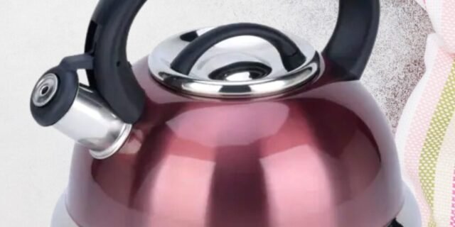 [MAGAZINE] Chaleira Brinox Inox com Apito 2,5L ou 2,7L Roma (2 Opções)