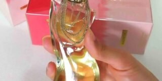 241055921_2781434702077241_838679150726416033_n