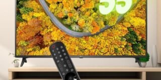 242589813_712618750139481_7641423274706420300_n