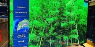 244040508_718539629547393_8650974464538637387_n