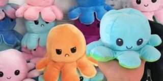 244716689_724854948915861_3878139377730185287_n