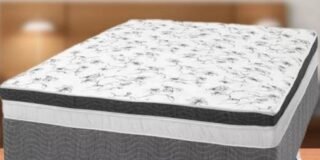 244741528_725721395495883_6091612733807073256_n