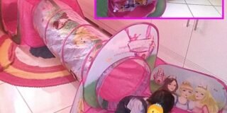 244754919_725591112175578_5762525808338385975_n