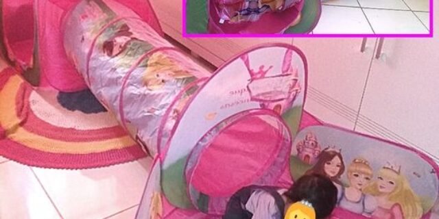 [AMERICANAS] Barraca 3 em 1 Piquenique das Princesas DMT5880 DM Toys