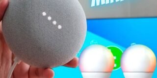 245203629_734376781297011_7127707955884410550_n