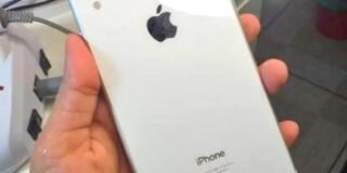 245713006_737984670936222_2225359219157377520_n