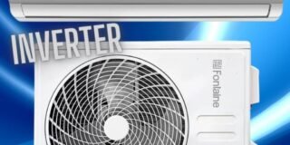 246466087_2815376175349760_2236319224477701268_n