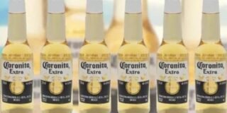 246490651_128882256170348_760262369703545522_n (1)