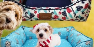 254585798_749087833159239_6144387501696999200_n