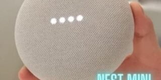 262755975_4395801167214619_6792727645471081283_n