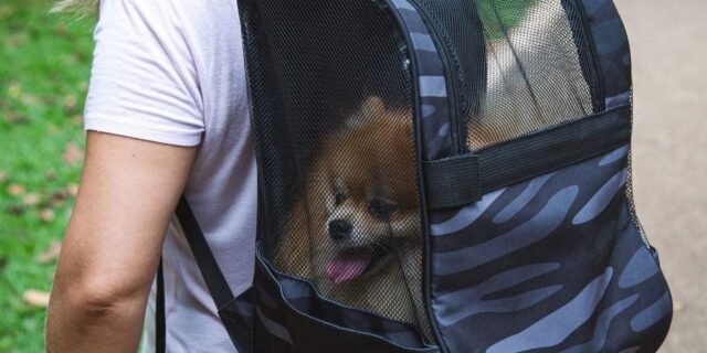 Mochila Carrinho para Cachorros Ollie & Hutch – Woods