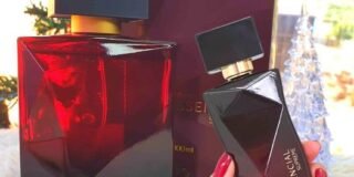 266496560_139478285110745_4806356067408868372_n