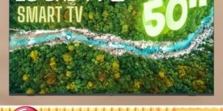 272786831_149159860809254_1934722492088486271_n