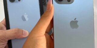 275619904_159240396467867_4266190811395414564_n