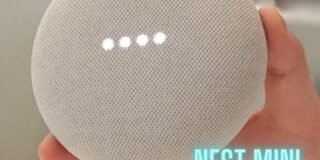 275785017_159176779807562_3655711630270850109_n