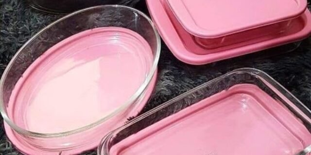 [SHOPTIME] Conjunto de Assadeiras de Vidro com Tampa 6 Peças – Marinex (2 Cores)