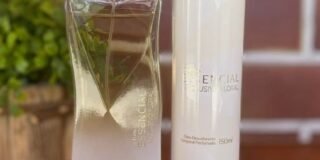 277999339_164286152629958_1653993608505174905_n