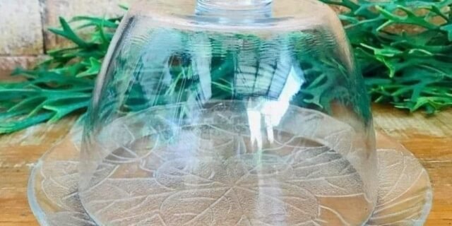 [MAGAZINE] Queijeira com Tampa Ruvolo – New Gourmet