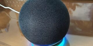 279219648_168833578841882_6015706983446110630_n