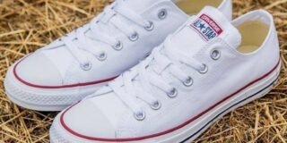 284306671_176275434764363_7826375769901695306_n