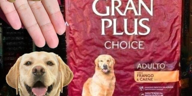 Ração Guabi GranPlus Choice Cães Adultos Frango Carne 15kg