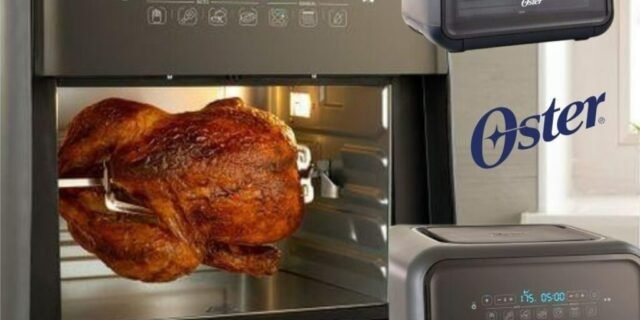 Fritadeira Super Fryer 10L Oster 3 em 1