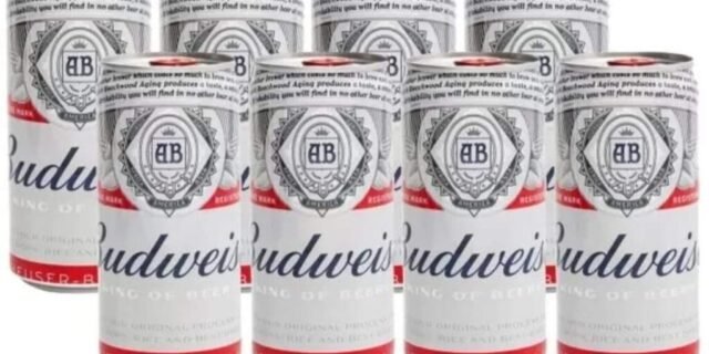 Cerveja Budweiser American Lager 8 Unidades – Lata 269ml