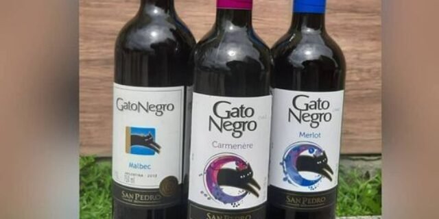 Vinho Tinto Gato Negro Carmenere 750 Ml