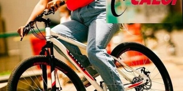 Mountain Bike Caloi Vulcan – Aro 29 – Freio A Disco Mecânico – Câmbio Traseiro Shimano – 21 Marchas