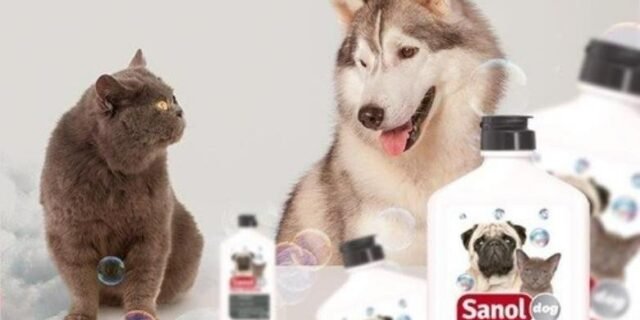 Shampoo e Condicionador Cachorro e Gato – Sanol Dog 500ml (4 Opções)