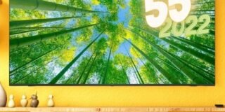 298253170_951043979630289_6326031765808578516_n
