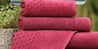 300020014_959442912123729_1292305519865598289_n