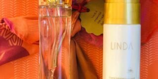 300774101_3036198459934196_8299337794811606231_n