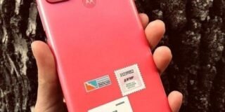 303508288_966293184772035_8992090615515446257_n