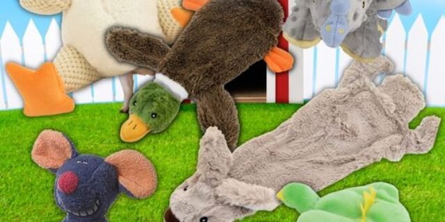 Seleção de pelúcias para pets com até 35% OFF