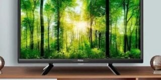 307869939_197782759280297_5182808360842260284_n