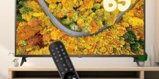 308404132_3058892837664758_6691490198688013043_n