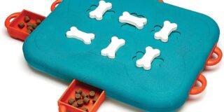 81Kd-xqjaTL._AC_SL1500_