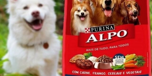 NESTLÉ PURINA ALPO Ração Seca para Cães Receitas Caseiras Carne Grelhada com Vegetais 10,1kg