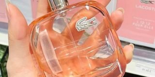 310652387_996638415070845_8547737121079064429_n