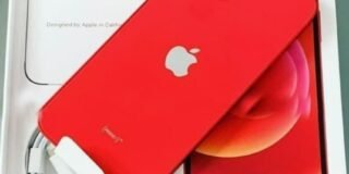 336863154_741488814144057_9106522442810224213_n