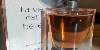 337028718_770369530945423_7467354677728641890_n