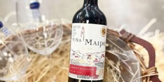 337035693_204189695558084_2868874117814848160_n