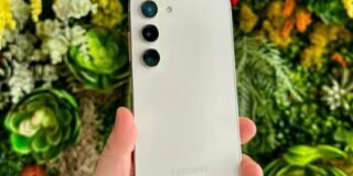 337109909_1204495193523097_2108270635511642727_n