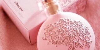 337111215_229356439618839_8826311335640228336_n