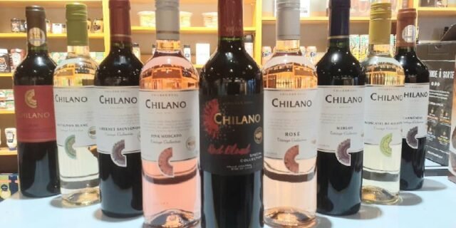 Vinho Chileno Chilano 750ml