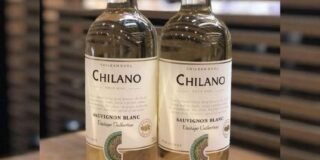 337151715_1391823068282789_6644846828306031957_n