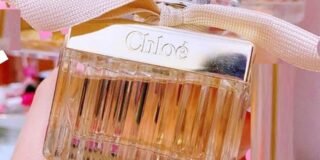 337244197_6019646548130970_1419238372099936393_n