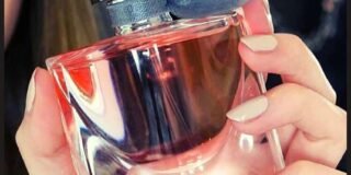 337250575_696499899142891_6404164057711714874_n