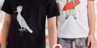 337289884_3528627270703958_3543484010453256592_n